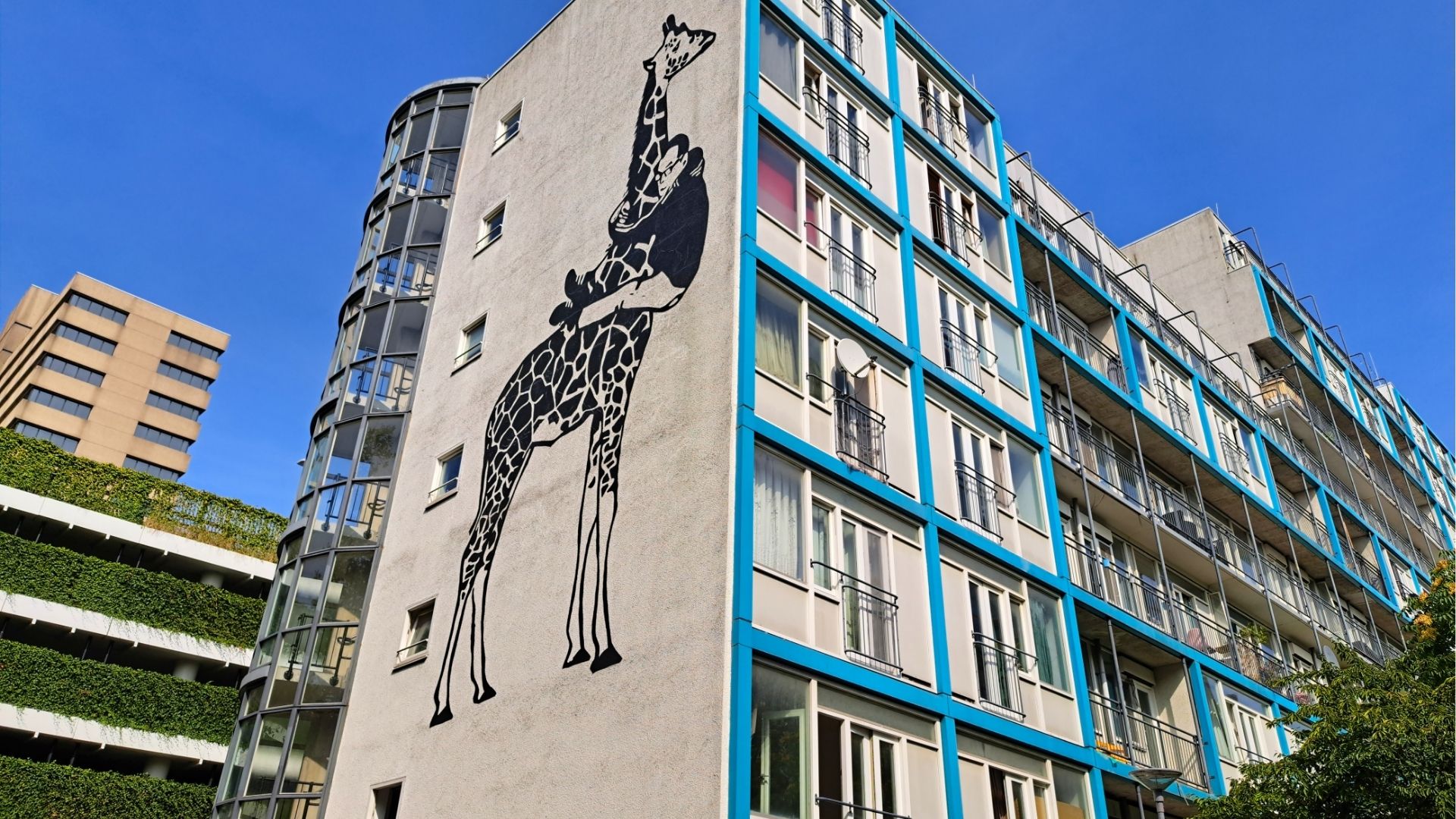 Muurschildering Man met Giraffe van Maarten Wendrich